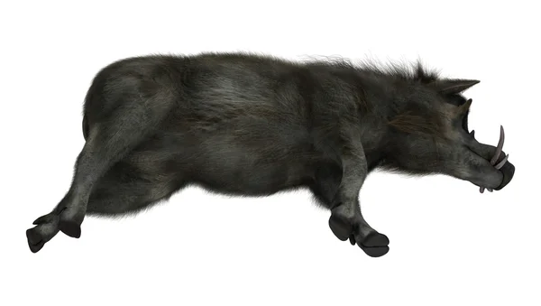 Warthog dziki ilustracja — Zdjęcie stockowe