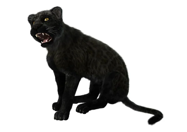 Grande gatto pantera nera illustrazione — Foto Stock