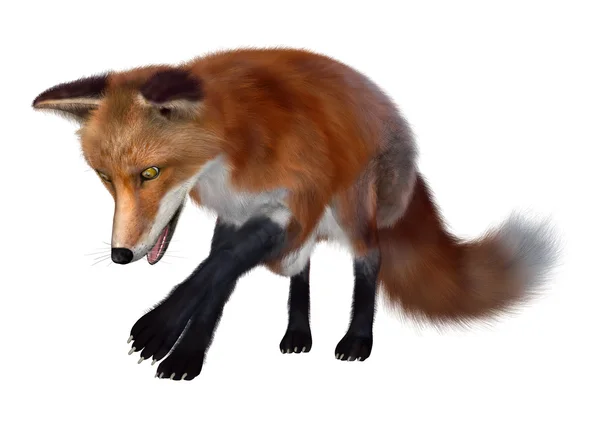 Ilustracja Red Fox — Zdjęcie stockowe