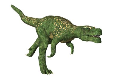 Dinozor Tyrannosaurus illüstrasyon