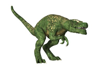 Dinozor Tyrannosaurus illüstrasyon