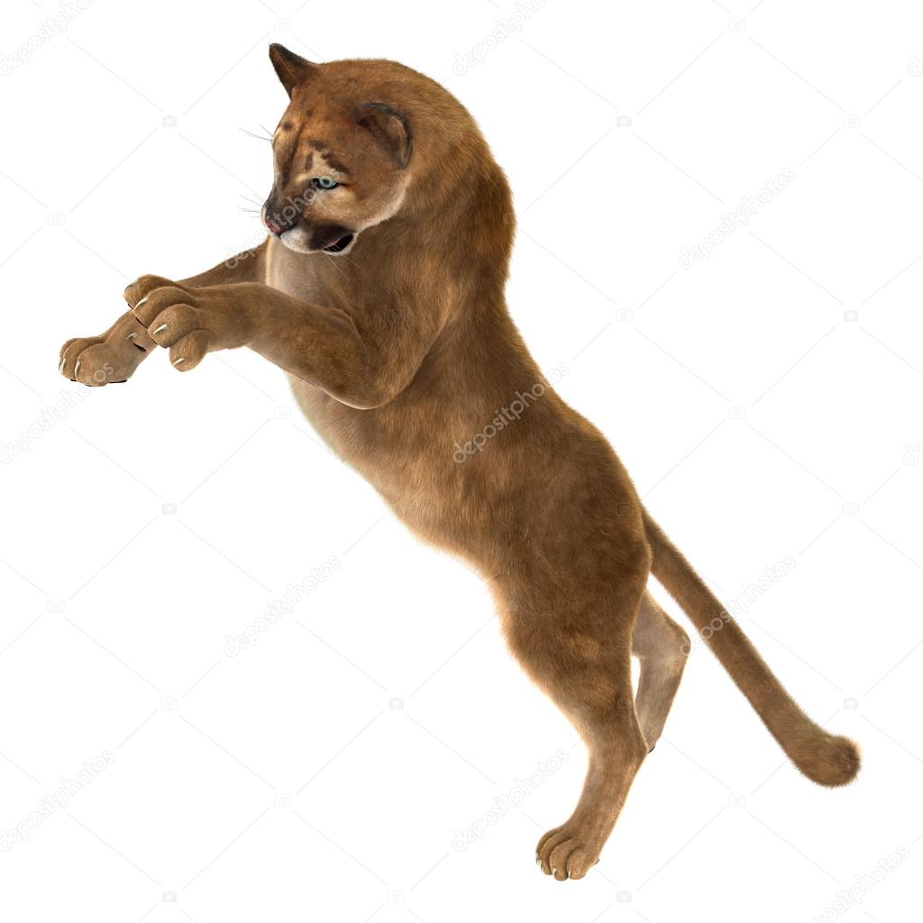 PhotosVac