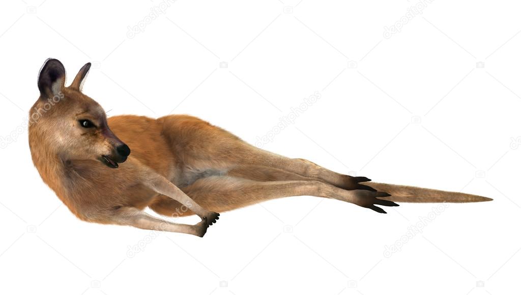 PhotosVac