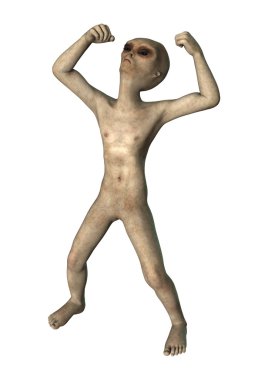 Fantezi yabancı beyaz