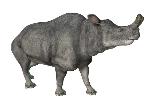 Brontotherium veya Thunder canavar — Stok fotoğraf