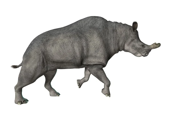 Brontotherium або грім звір — стокове фото