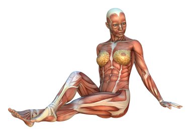 Kas haritalar şekil