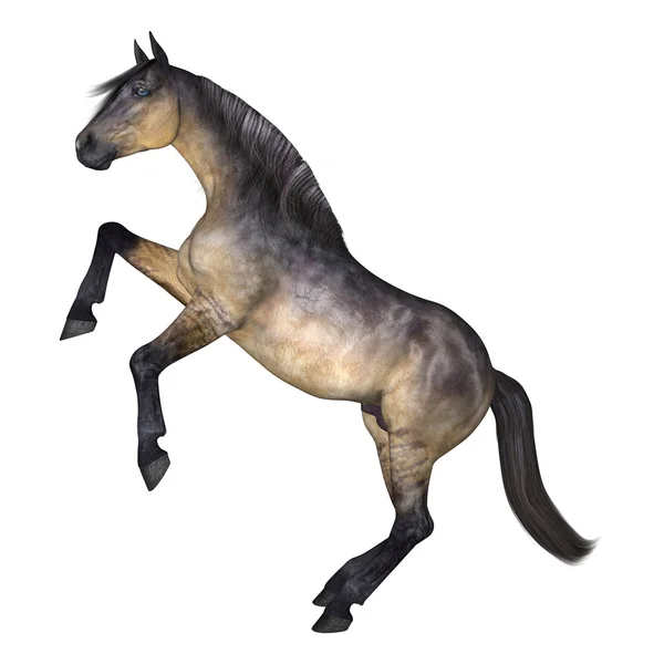 Renderização digital 3d de um burro engraçado com um lenço isolado no  modelo psd de fundo branco