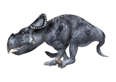 Dinozor Protoceratops beyaz