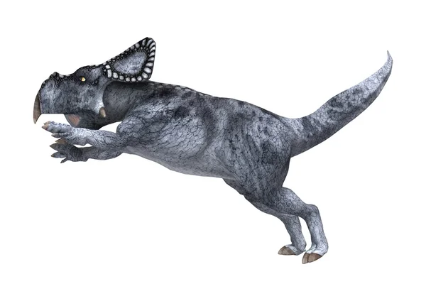 Dinozaur protoceratopsa biały — Zdjęcie stockowe