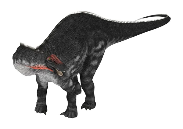 Dinoszaurusz Apatosaurus, fehér — Stock Fotó