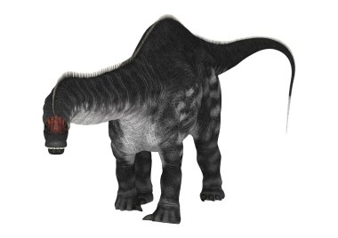 Dinozor Apatosaurus beyaz