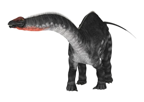 Dinosaur Apatosaurus on White — Stock Photo, Image