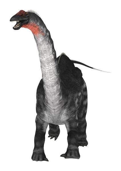 Динозавр Апатит на белом — стоковое фото