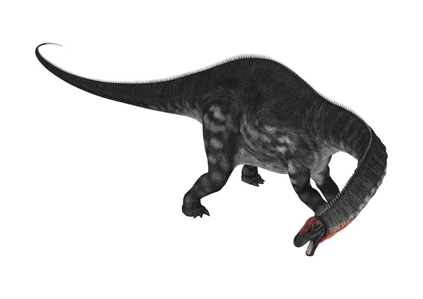 Δεινόσαυρος Απατόσαυρος σε λευκό — Φωτογραφία Αρχείου