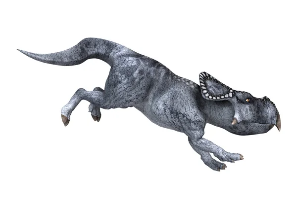 Dinosaurus Protoceratops na bílém pozadí — Stock fotografie