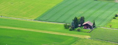 Yeşil alanda küçük ev.