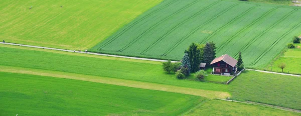Домик в зеленом поле . — стоковое фото