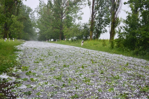 Granizo Gelado Uma Estrada Após Trovoada — Fotografia de Stock