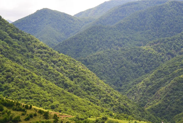 夏天的绿山 — 图库照片