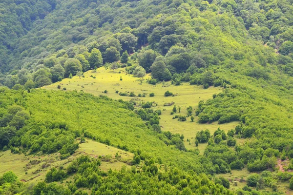 Grüne Hügel Während Der Sommerzeit — Stockfoto