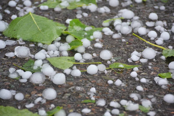 Grêle Glacée Sur Une Route Après Orage Photos De Stock Libres De Droits