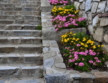 Parktaki eski merdivenler.