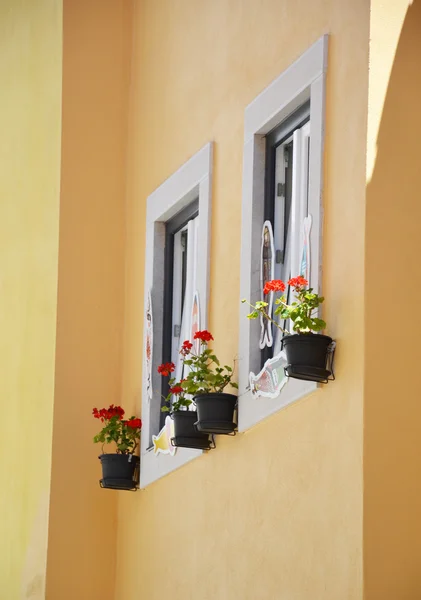 Vieille fenêtre avec pots de fleurs — Photo