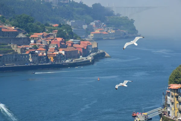 View of Porto and Douro's river, Portugal — Stock Photo, Image