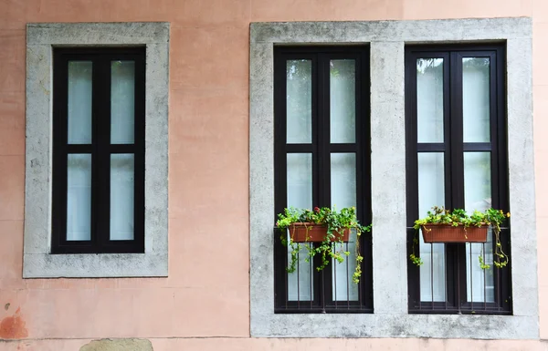 Vieille fenêtre avec pots de fleurs — Photo