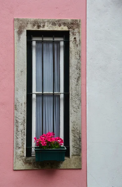 Старе вікно з квітковими горщиками — стокове фото