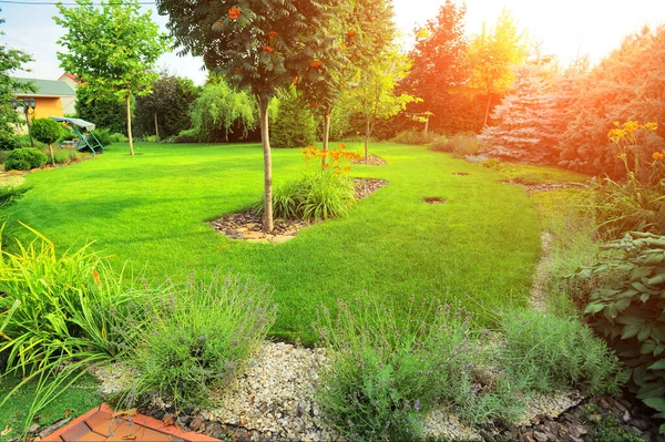 Hermoso paisaje con hermosas plantas — Foto de Stock