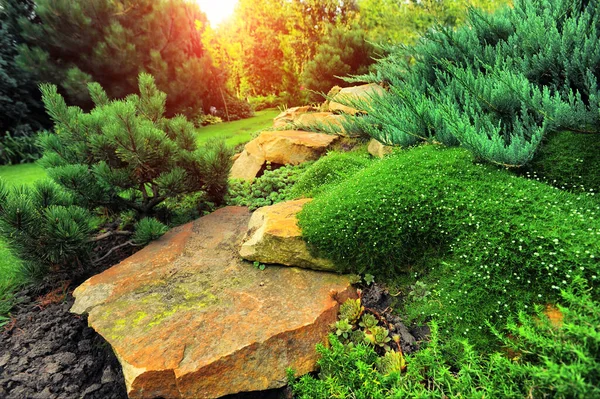 Beautiful landscaping with beautiful plants — Stock Photo, Image