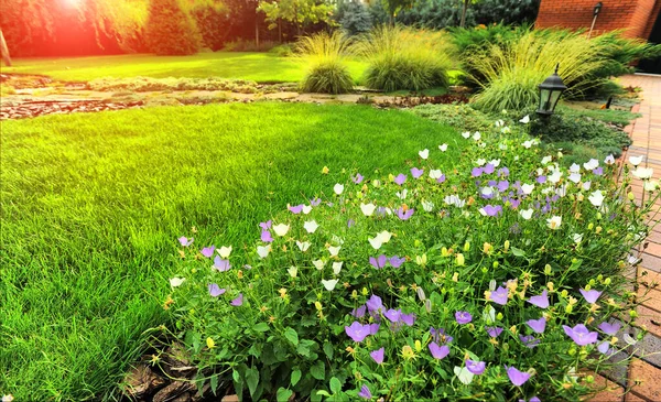Gyönyörű kertészkedés gyönyörű növényekkel — Stock Fotó