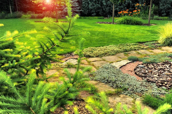 Schöne Landschaft mit schönen Pflanzen — Stockfoto