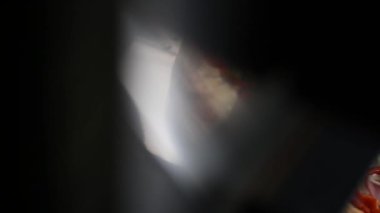 Şef pizzayı fırından çıkarır.