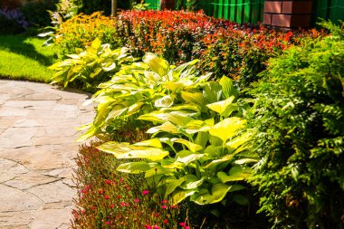 Modern peyzaj tasarımı