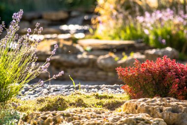 Modern peyzaj tasarımı
