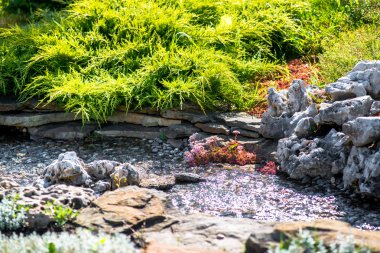 Modern peyzaj tasarımı