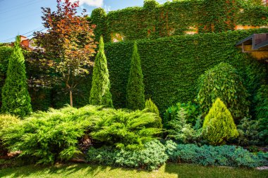 Modern peyzaj tasarımı