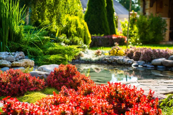 Modern landscape design — Stock Photo, Image