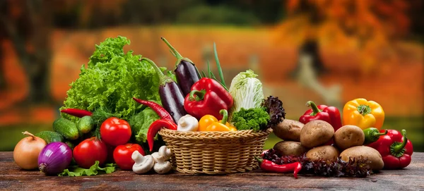 Fresh vegetables on table — Stock Photo, Image