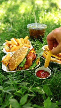 Hamburger pikniğinde patates kızartmasını ketçapa batırmak. Yeşil piknik çimlerinde hamburgerlerin ve sodanın tadını çıkarırken, patates kızartmasını ketçabın içine daldıran bir insan..