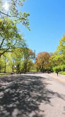 New York, ABD, 3 Ağustos 2025: Central Park, New York 'ta bahar gününün tadını çıkaran bisikletçiler. Central Park 'tan geçen bir grup bisikletçi.