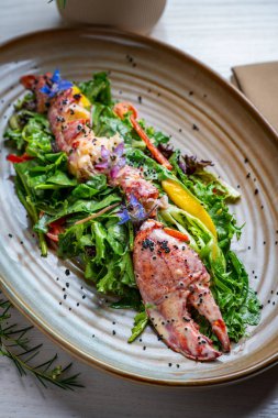 Canlı yeşillikli ıstakoz salatası. Sebzelerle karışık sebzelerde ıstakoz ve seramik tabakta tohum servis edilir.