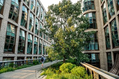New York, ABD, 8 Ağustos 2025: Modern binalarla çevrili ağaç. New York 'ta High Line boyunca modern mimari arasında yükselen yeşil ağaç.