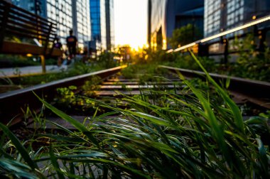 Tuğla binalara altın ışık. Gün batımı, sessiz şehir caddesinde klasik tuğla cepheleri aydınlatıyor.