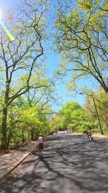 New York, ABD, 12 Ağustos 2025: Central Park 'ta bahar yürüyüşü yolu. İnsanlar Central Park 'ta yeşil ağaçlarla çevrili bir bahar yolu boyunca yürür..