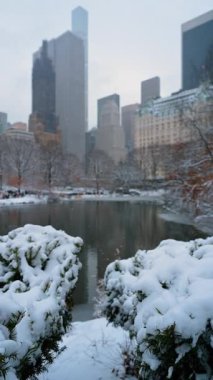 Kış Central Park Göl Skyline Manzarası. Central Park gölü karla çevrili ağaçlarla kaplı Manhattan silueti sakin kış manzarasının ardında yükseliyor.