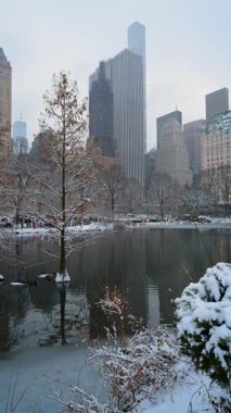 Ağaçlı Karlı Central Park Gölü. Karlı ağaçlar ve şehir binalarıyla çevrili sessiz Central Park gölü sakin bir kış parkı atmosferi yaratıyor..